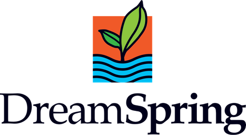 DreamSpring client success story